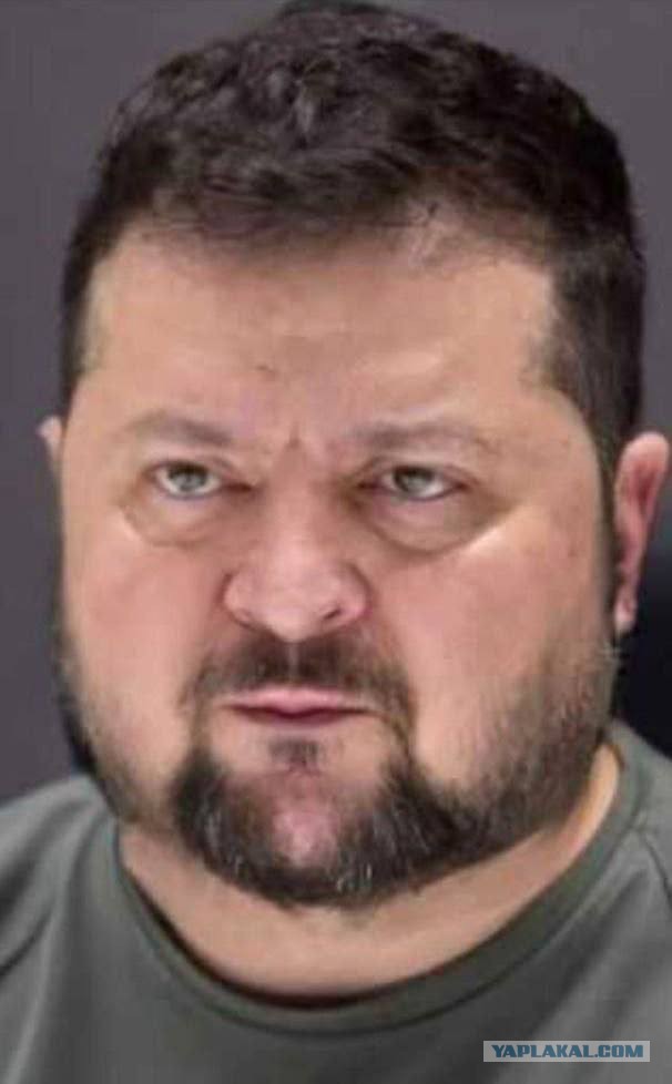 Главное верить в свои слова и не засмеяться