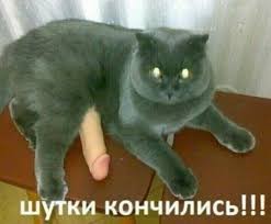 Это уже не просьба, это требование