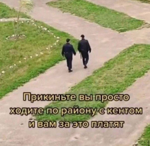 Весёлый полтишок 07.08.23