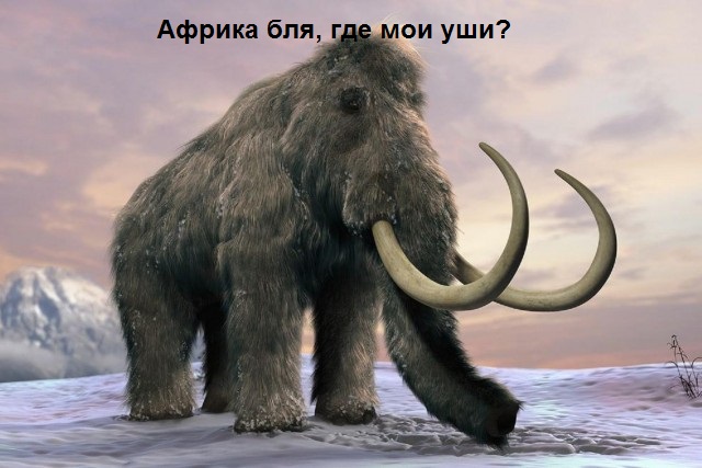 Загадка в олимпиаде за 6 класс