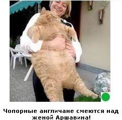 Автодемотиватор на ЯПе