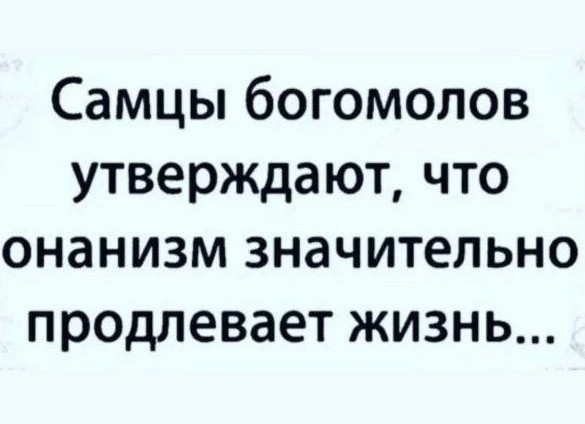 18730190.jpg