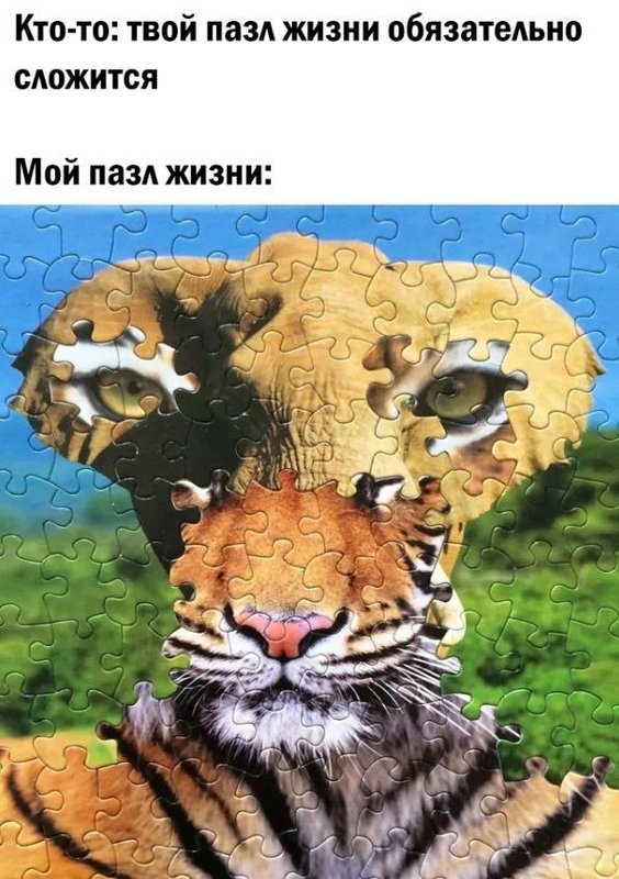 Завалялось тут случайно немного забавных картинок
