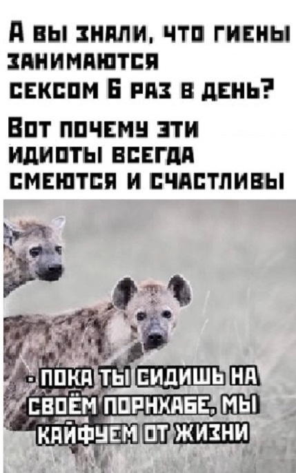 Картинки разные с надписями и без