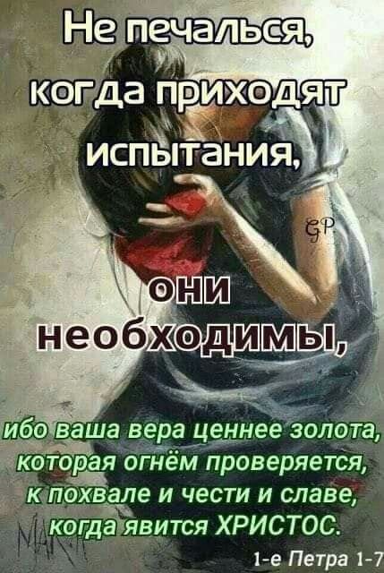 Прикольные и просто красивые картинки 24.09.2024