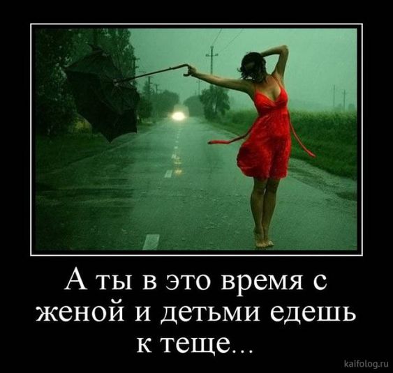 Прикольные и просто красивые картинки