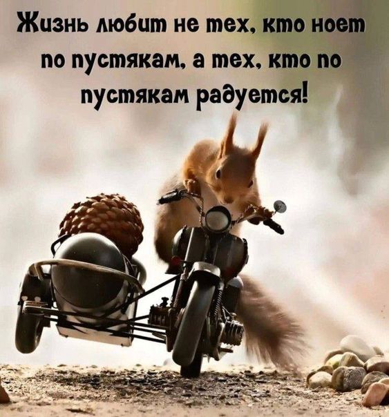 Прикольные и просто красивые картинки
