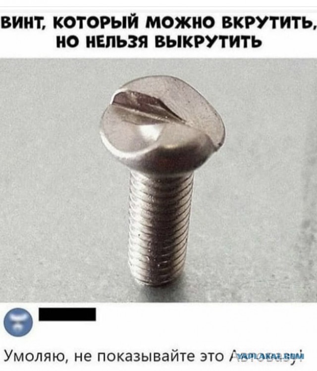 Отборные баяны 10-летней выдержки - SCIENCE 2.0 edition