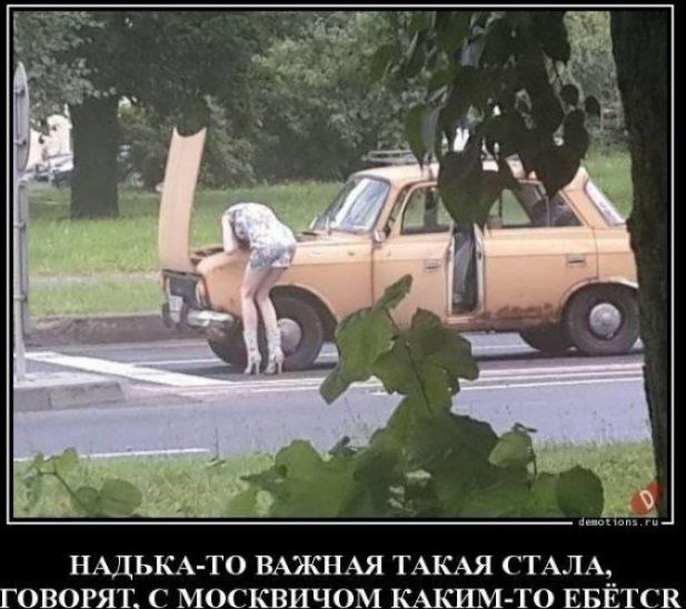 Мои избранные картинки, часть 2