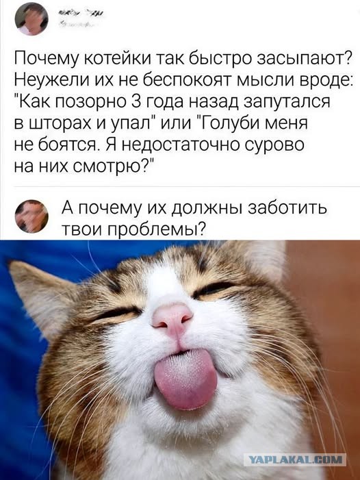 Веселые картинки в последний рабочий день уходящего года (28.12)