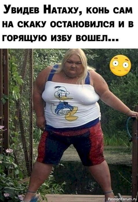 Так себе картинки 28.01.25