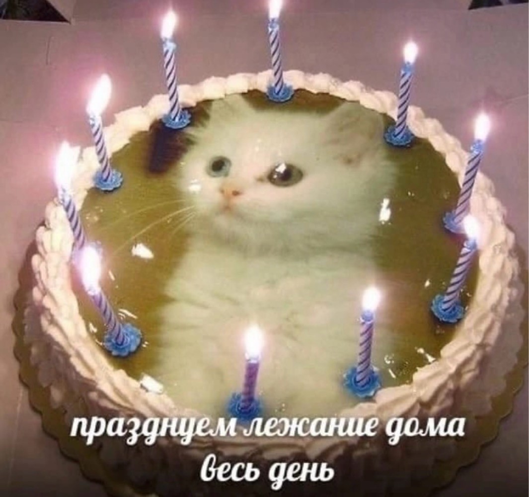 Веселое настроение в картинках (05.08.2025)