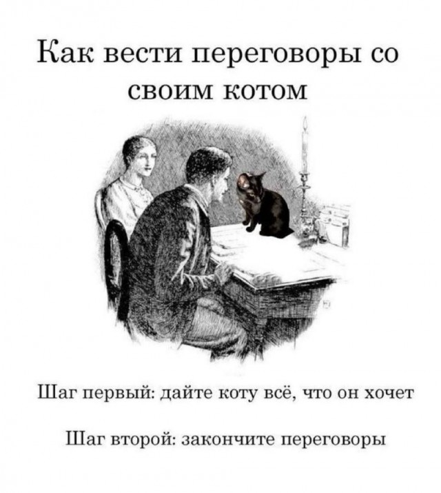 К котовторнику: подборка картинок-баянов с котиками и про котиков. Выпуск 16.