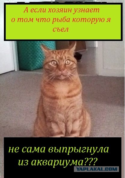 Что если?...