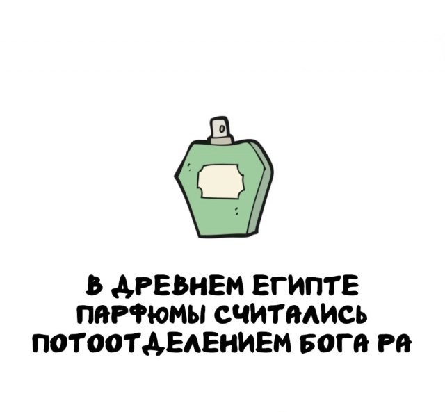 Подборка интересных фактов на все случаи жизни 26.11.25