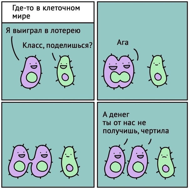 Понедельника картинки