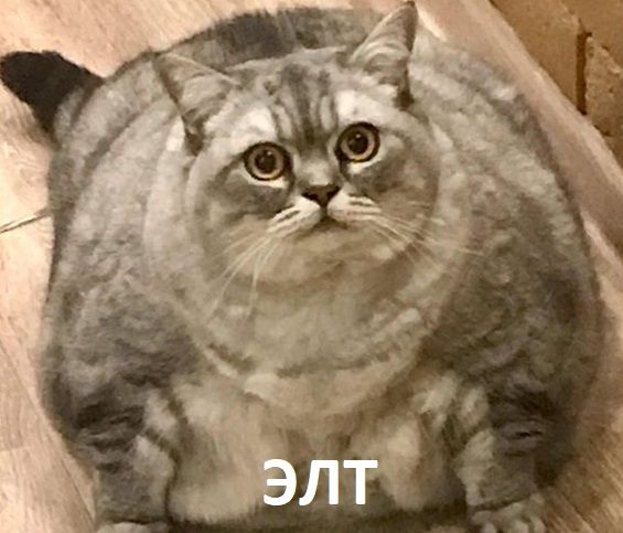 Спор закрыт