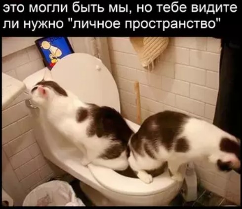 Картиночки, баянчики 01 апреля