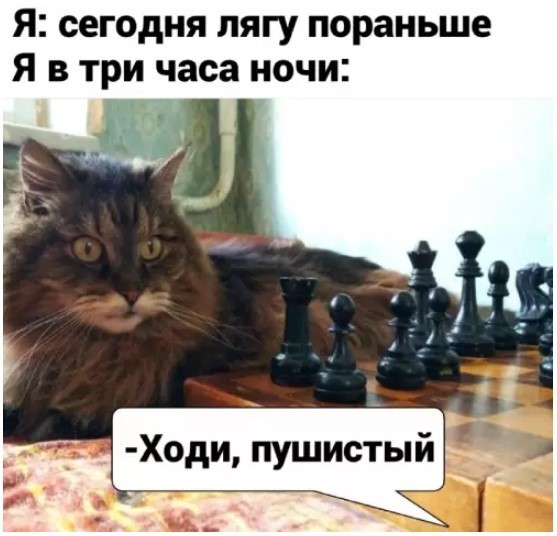 К котовторнику: подборка картинок-баянов с котиками и про котиков. Выпуск 43.