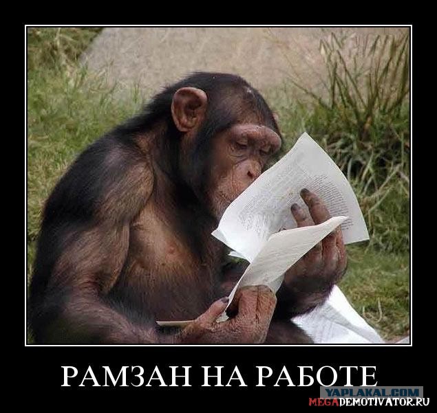 Бизнес по-Кадыровски