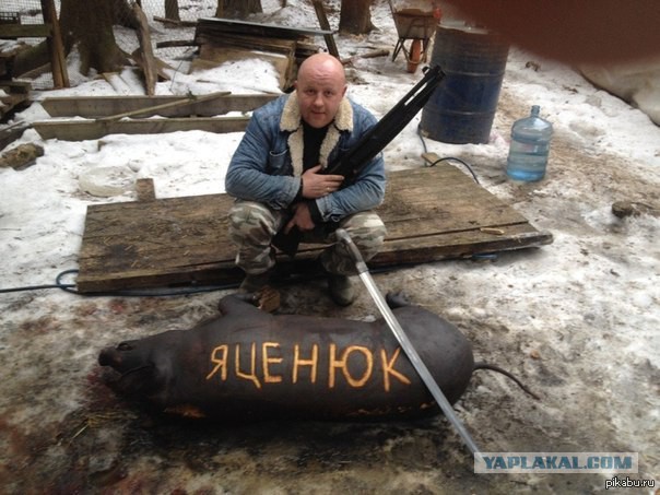 Обосрался ссучара!