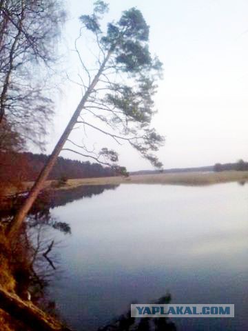 Деревенская Америка