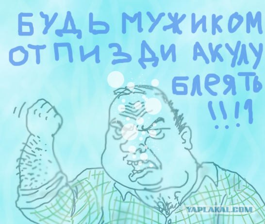 Инструкция "как отогнать акулу"