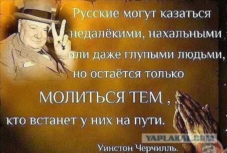 Бесславные ублюдки...