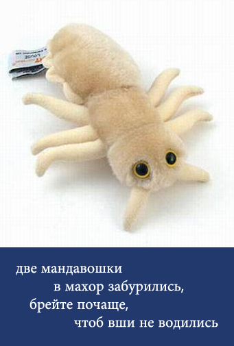 ...и у них все в порядке!