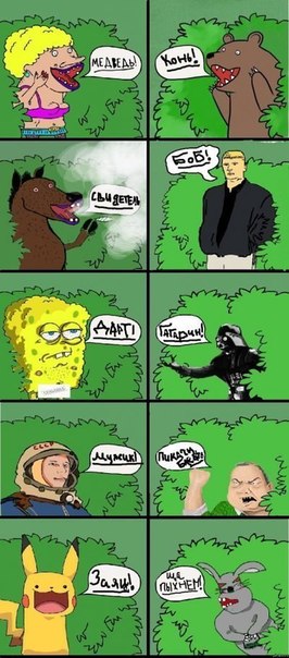 Медведи почти на все случаи жизни
