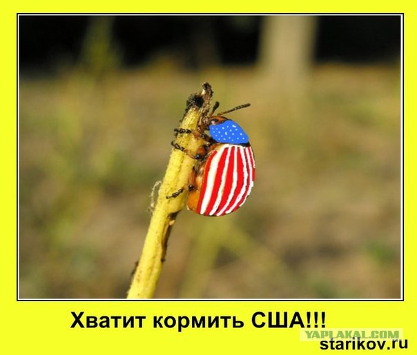 ТОП Американских фейлов