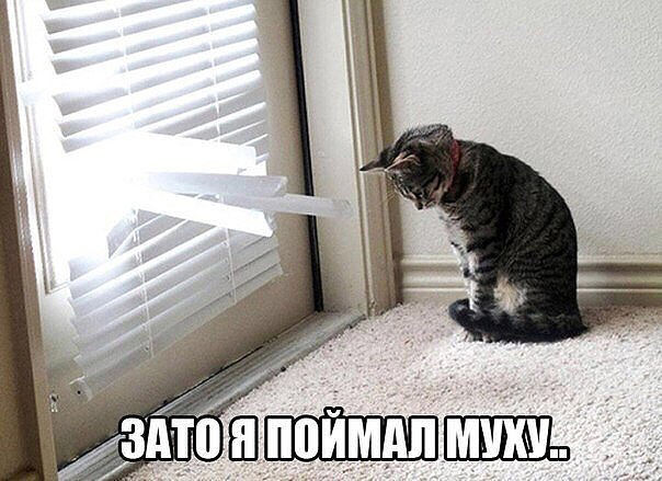 Улыбнуло часть "2"