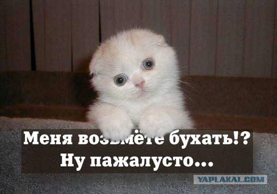 Чёрт, чёрт, чёрт!