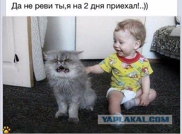 Котовторник 7.10.2014