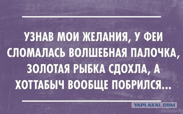 Смешные комментарии из социальных сетей 15.11.14