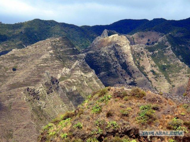Канарские острова