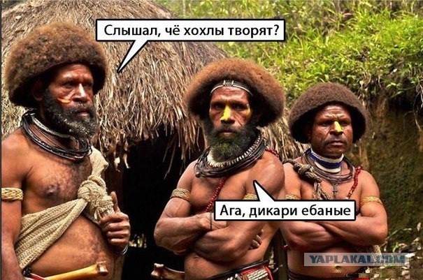 Бандеровцы напали на журналистку Lifenews