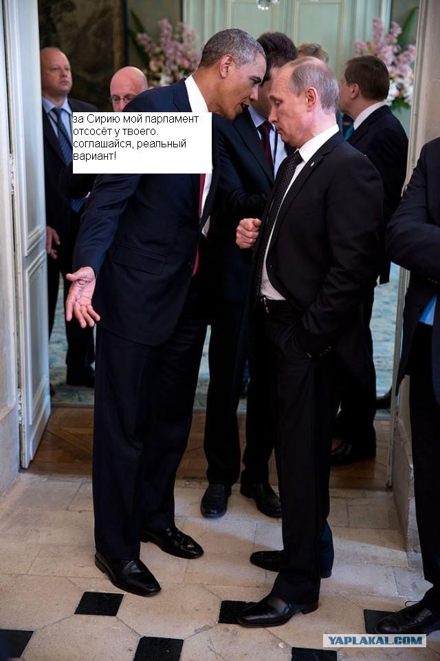 Одна жаба