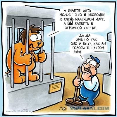 Взрыв в Домодедово