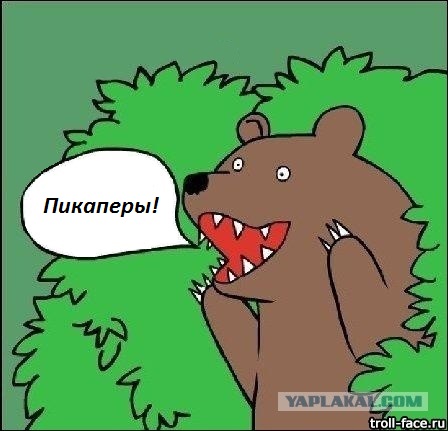 В Ростове на курсах пикапа устраивали оргии