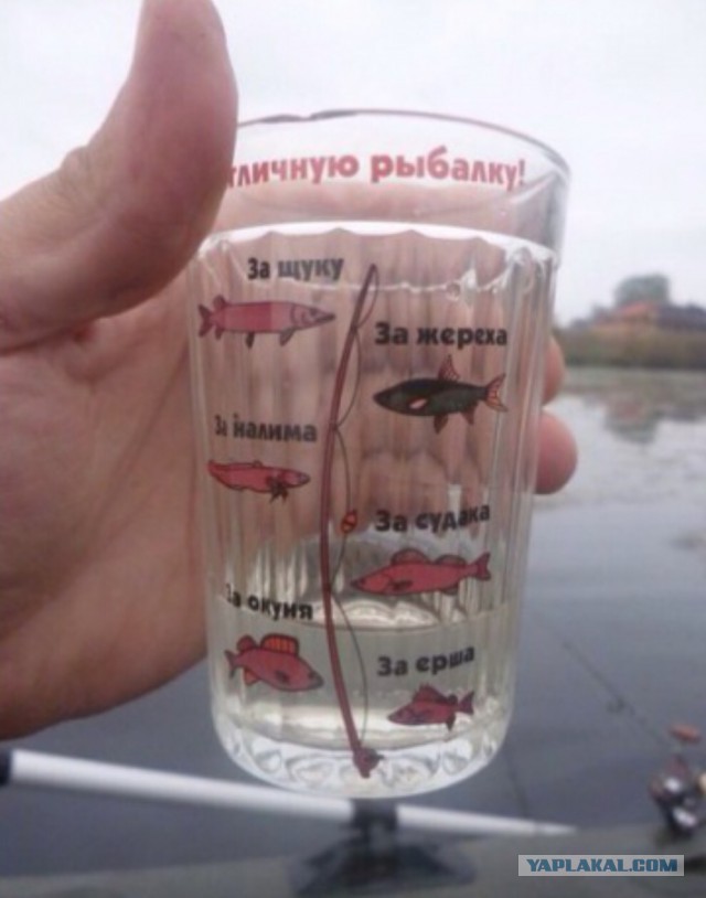 Алкопост.