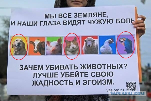 Рубрика "Исторические факты от вегетрианцев"