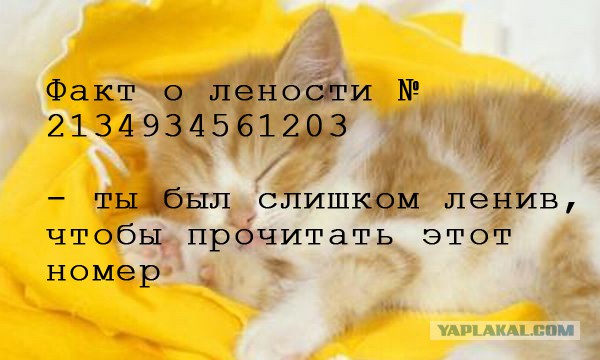 Слишком ленивый. Слишком ленивый