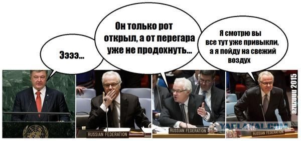 Прямая трансляция из ООН