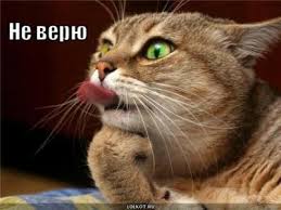 Пьяные понты