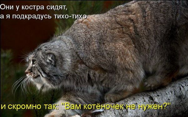 Мемы вспоминаем и добавляем....