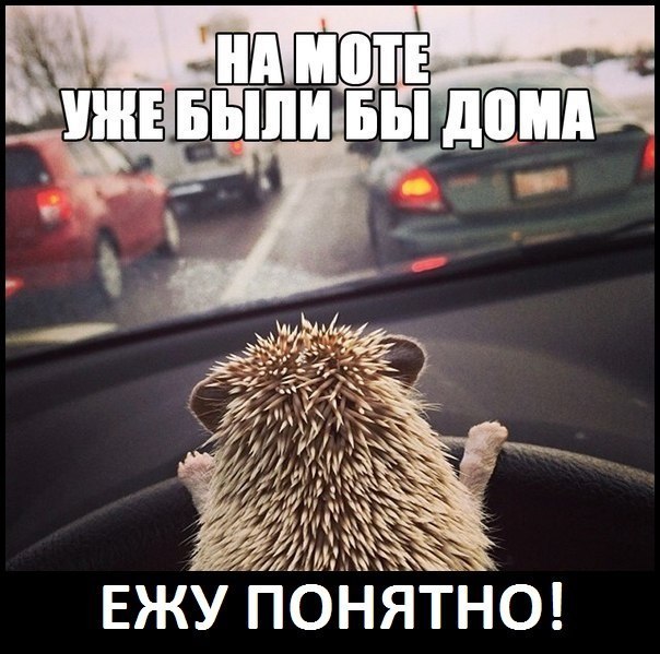 Картинки и демотиваторы