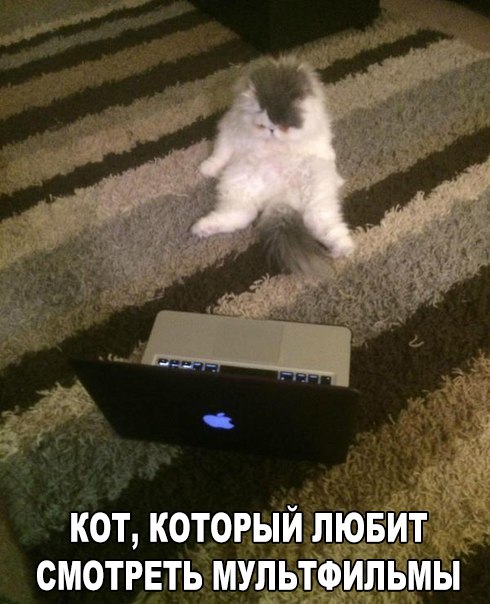 Картинки и демотиваторы