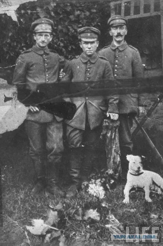 Редкие кадры, которые надо увидеть ч.2