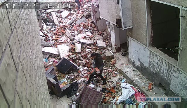 За что я люблю китайцев